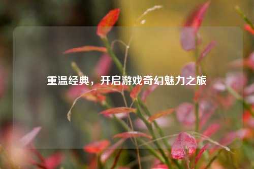 重温经典,开启游戏奇幻魅力之旅