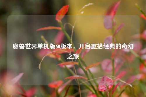 魔兽世界单机版60版本,开启重拾经典的奇幻之旅