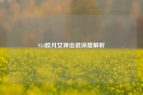 S13皎月女神出装深度解析