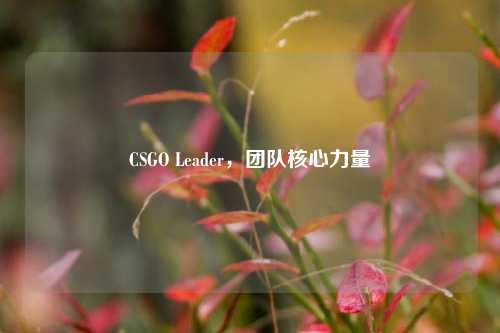 CSGO Leader,团队核心力量