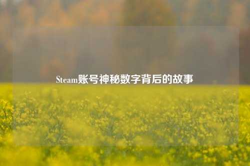Steam账号神秘数字背后的故事