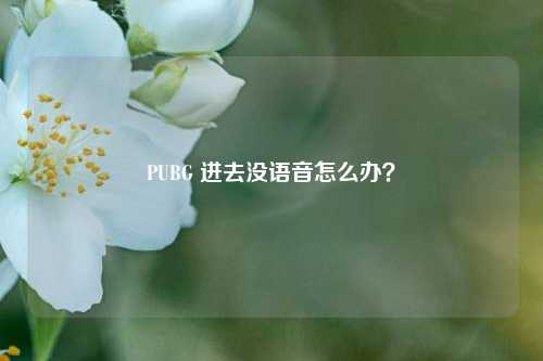 PUBG 进去没语音怎么办？