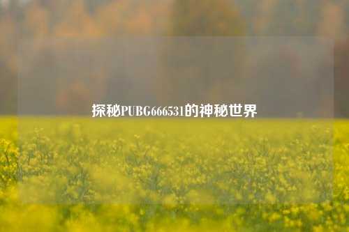探秘PUBG666531的神秘世界