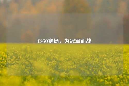 CSGO赛场，为冠军而战