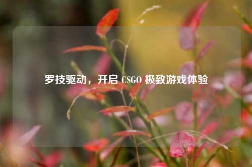 罗技驱动，开启 CSGO 极致游戏体验