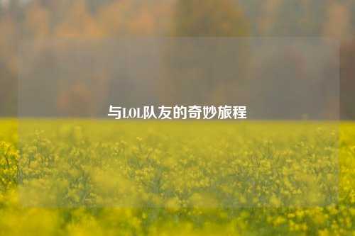 与LOL队友的奇妙旅程