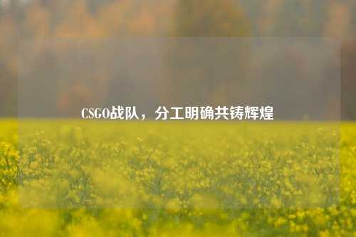 CSGO战队，分工明确共铸辉煌
