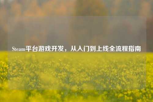 Steam平台游戏开发,从入门到上线全流程指南
