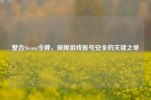 整合Steam令牌,保障游戏账号安全的关键之举