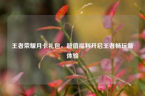 王者荣耀月卡礼包，超值福利开启王者畅玩新体验