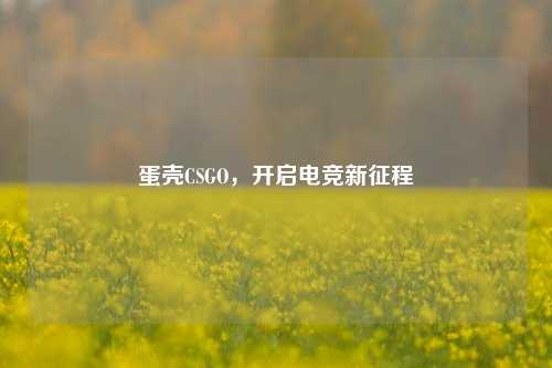 蛋壳CSGO，开启电竞新征程