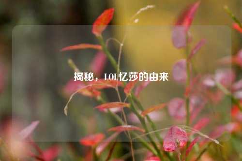 揭秘，LOL忆莎的由来