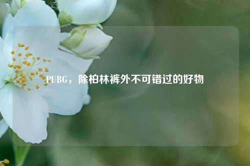 PUBG,除柏林裤外不可错过的好物