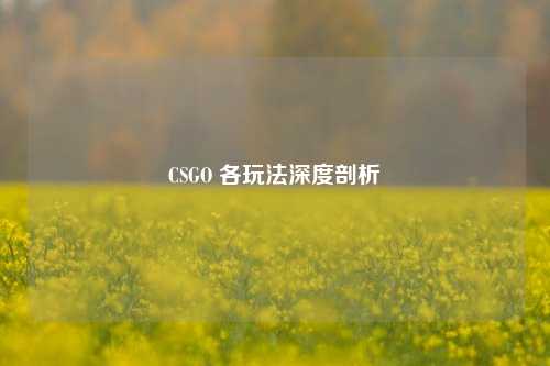 CSGO 各玩法深度剖析
