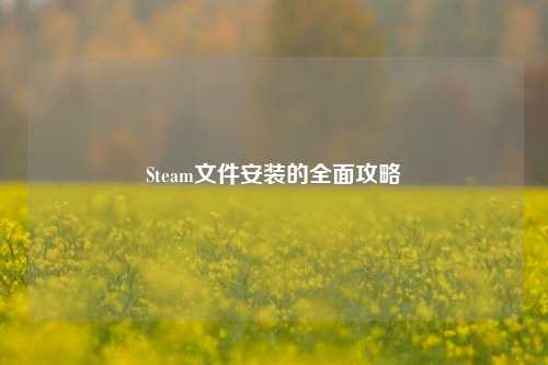 Steam文件安装的全面攻略