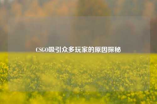 CSGO吸引众多玩家的原因探秘