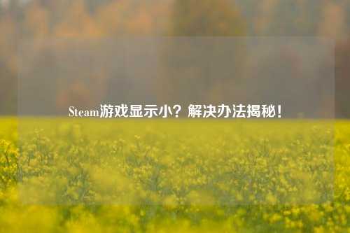 Steam游戏显示小?解决办法揭秘!