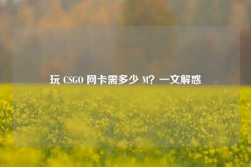 玩 CSGO 网卡需多少 M？一文解惑