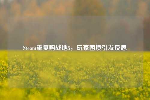Steam重复购战地5，玩家困境引发反思