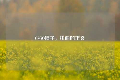 CSGO喷子，扭曲的正义