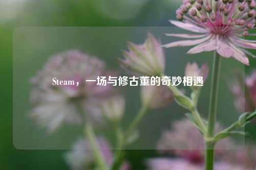 Steam，一场与修古董的奇妙相遇