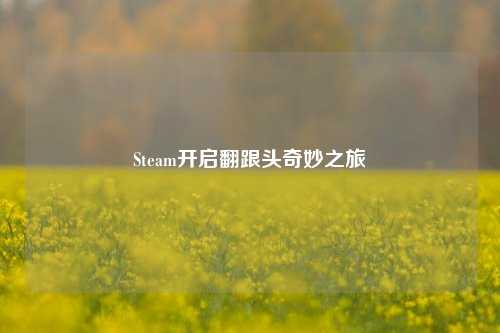Steam开启翻跟头奇妙之旅