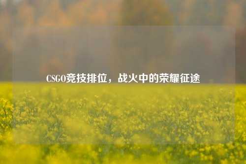 CSGO竞技排位,战火中的荣耀征途