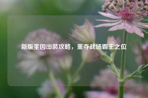 新版奎因出装攻略，重夺战场霸主之位