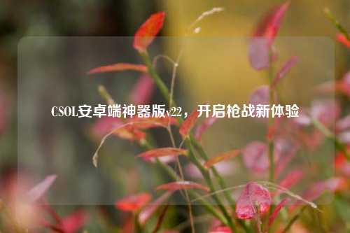 CSOL安卓端神器版v22，开启枪战新体验