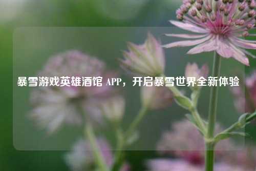 暴雪游戏英雄酒馆 APP,开启暴雪世界全新体验
