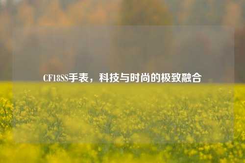CF18SS手表，科技与时尚的极致融合