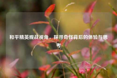 和平精英观战视角,探寻奇怪背后的体验与思考