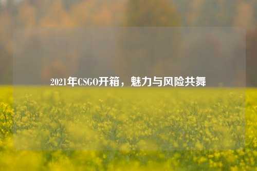 2021年CSGO开箱，魅力与风险共舞