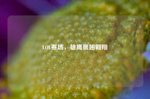 LOL赛场，雄鹰展翅翱翔