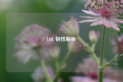 LOL 韧性解析