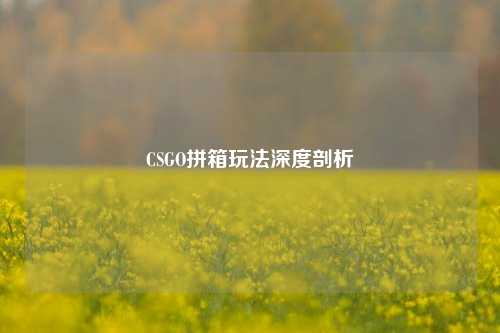 CSGO拼箱玩法深度剖析