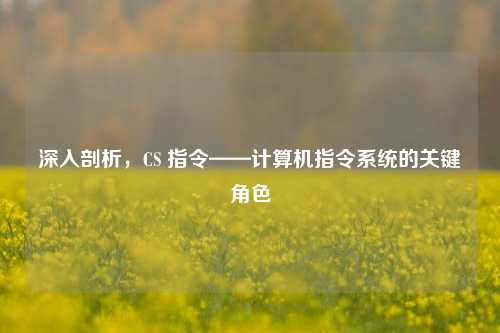 深入剖析,CS 指令——计算机指令系统的关键角色
