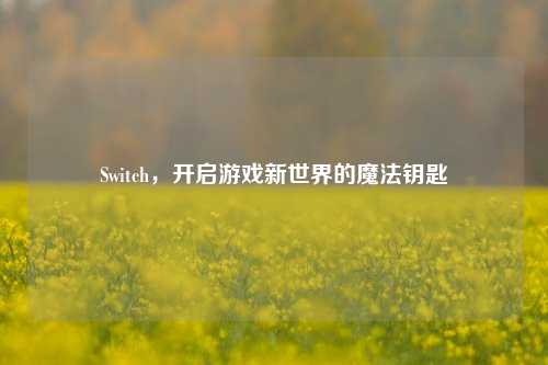 Switch，开启游戏新世界的魔法钥匙