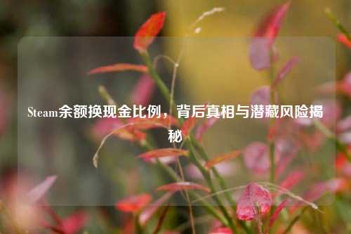 Steam余额换现金比例，背后真相与潜藏风险揭秘