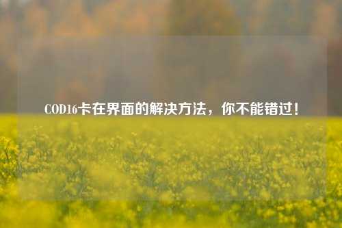 COD16卡在界面的解决方法，你不能错过！