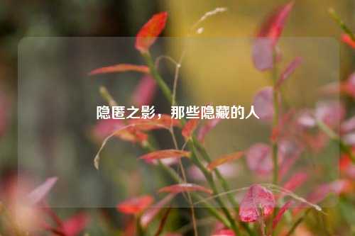 隐匿之影,那些隐藏的人