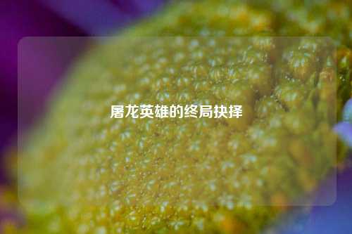 屠龙英雄的终局抉择