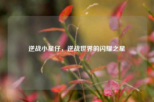 逆战小星仔，逆战世界的闪耀之星