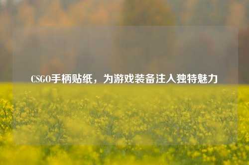 CSGO手柄贴纸，为游戏装备注入独特魅力