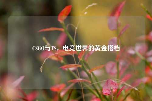 CSGO与TS，电竞世界的黄金搭档