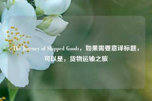 The Journey of Shipped Goods,如果需要意译标题,可以是,货物运输之旅
