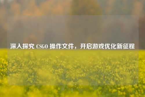 深入探究 CSGO 操作文件，开启游戏优化新征程