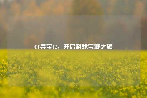 CF寻宝12，开启游戏宝藏之旅