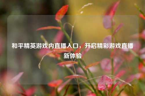 和平精英游戏内直播入口，开启精彩游戏直播新体验