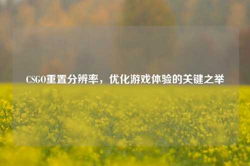CSGO重置分辨率，优化游戏体验的关键之举